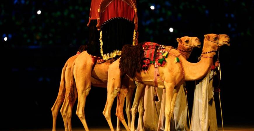 General view of camels during the opening ceremony. – REUTERSPIX