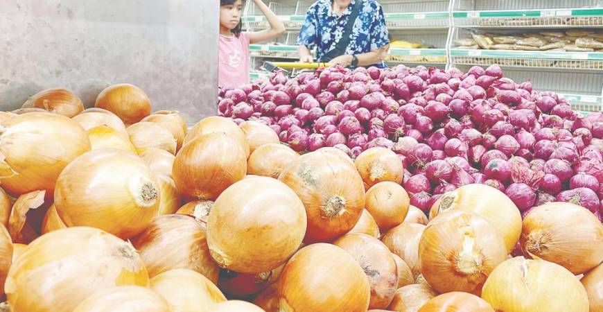 Norsida acknowledged the potential to reduce Malaysia’s reliance on imports, but cautioned that the future of onion farming locally remains uncertain. – ADIB RAWI YAHYA /THESUN