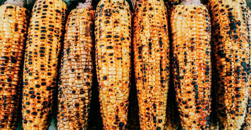 A smoky, charred treat perfect for barbecues. – PEXELSPIC