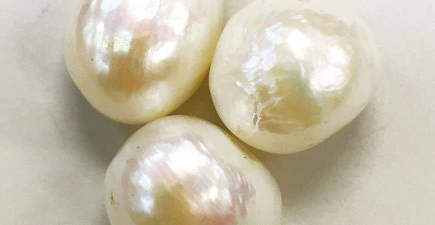 Pearls don’t form overnight; it is the same with us. The process is slow and it often feels like nothing is happening but beneath the surface, something is. – WIKIMEDIAPIC