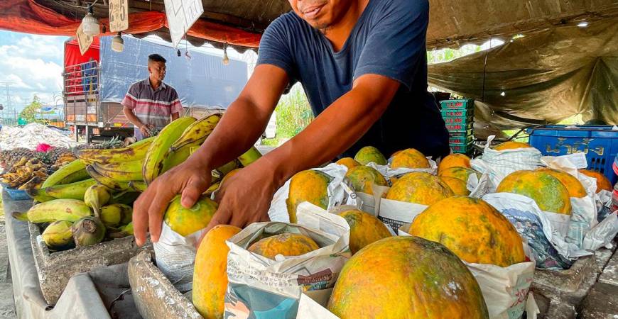 The risk to consumers is heightened by the fact that the general public is unable to tell the difference between naturally ripened fruits and those exposed to carbide gas. – ADIB RAWI YAHYA/THESUN