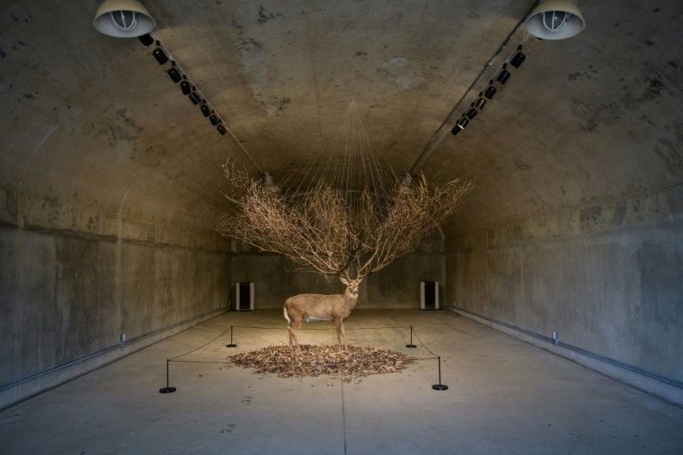 Artist Kim Myeongbeom’s installation is placed in a decommissioned ammunition store at Camp Greaves, a former US army facility in South Korea. — AFP