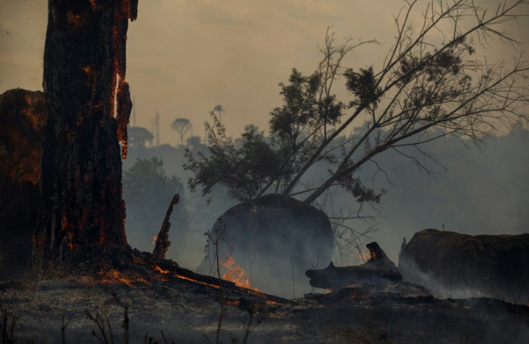 Deforestation in the Amazon has been blamed for the sharp increase in fires as land is cleared and burned for cattle grazing or crops. — AFP