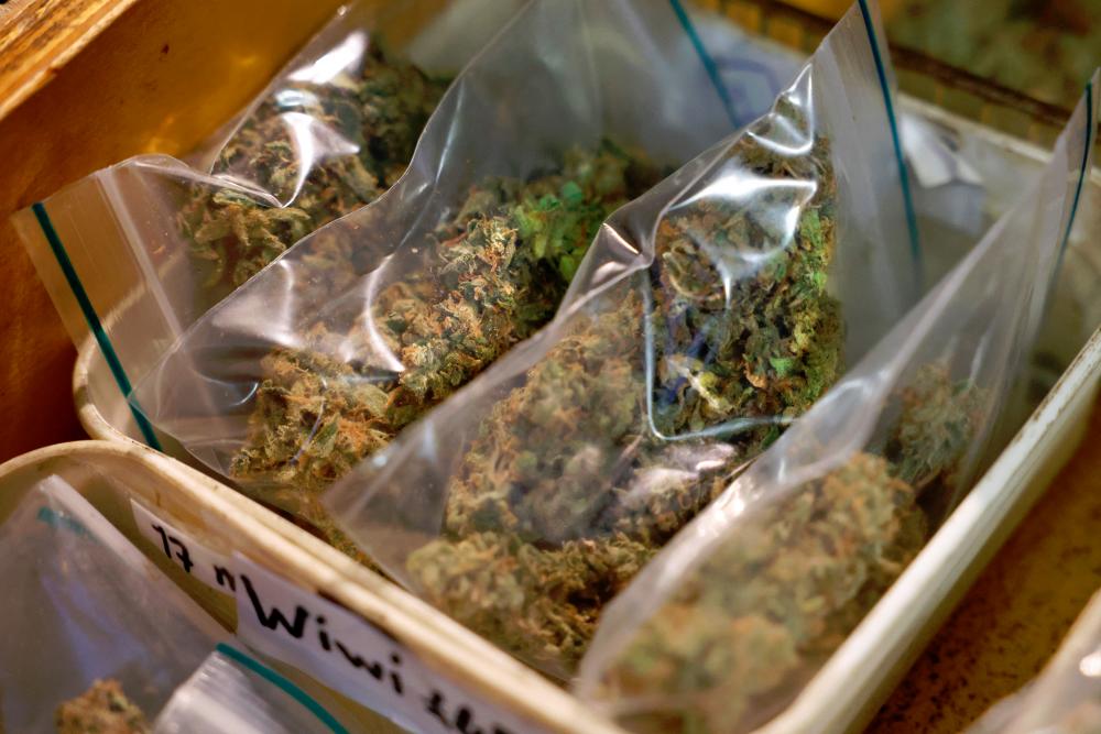 A supply of Cannabis is seen at a coffeeshop in Breda, Netherlands/ REUTERSPIC