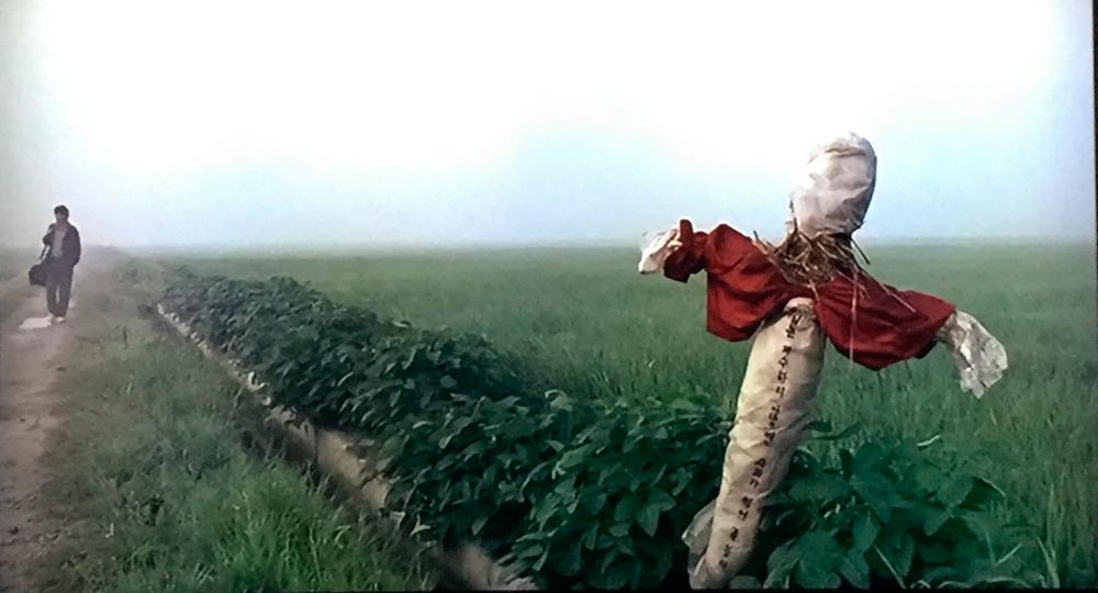 One of the many haunting scenes from director Bong Joon-ho’s Memories Of Murder