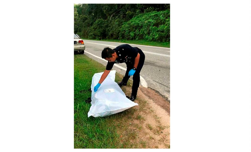A police officer covers the remains of a motorcyclist who was decapitated following a high speed collision with a van, in Jalan Gelang Patah, on June 16, 2019.