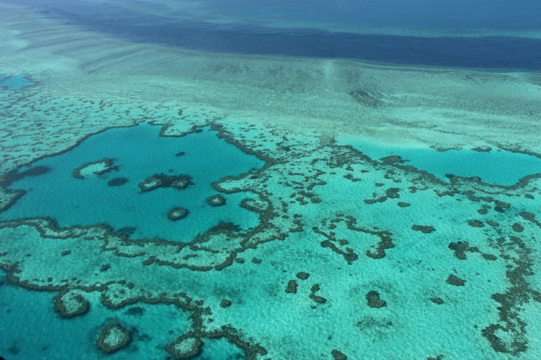 The Great Barrier Reef faces multiple threats to its survival. — AFP