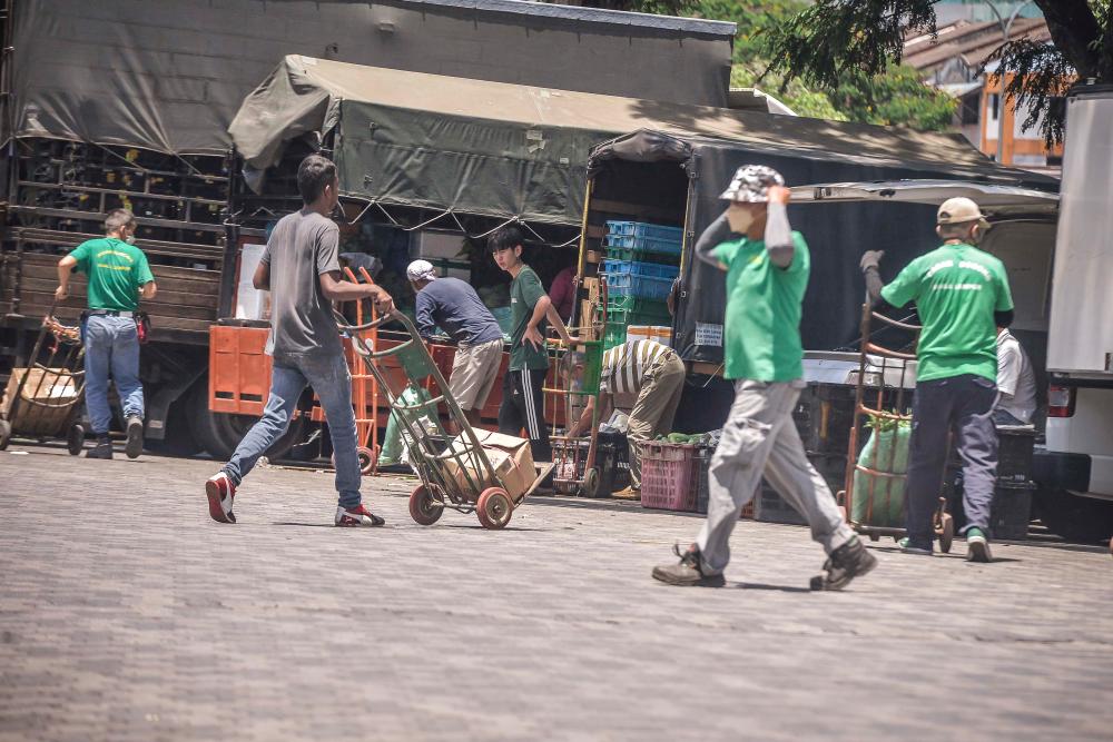 Foreigners were seen carrying vegetables and other raw materials at the Kuala Lumpur Wholesale//theSunpix