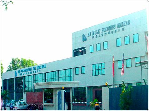 AE Mult Holdings website pix