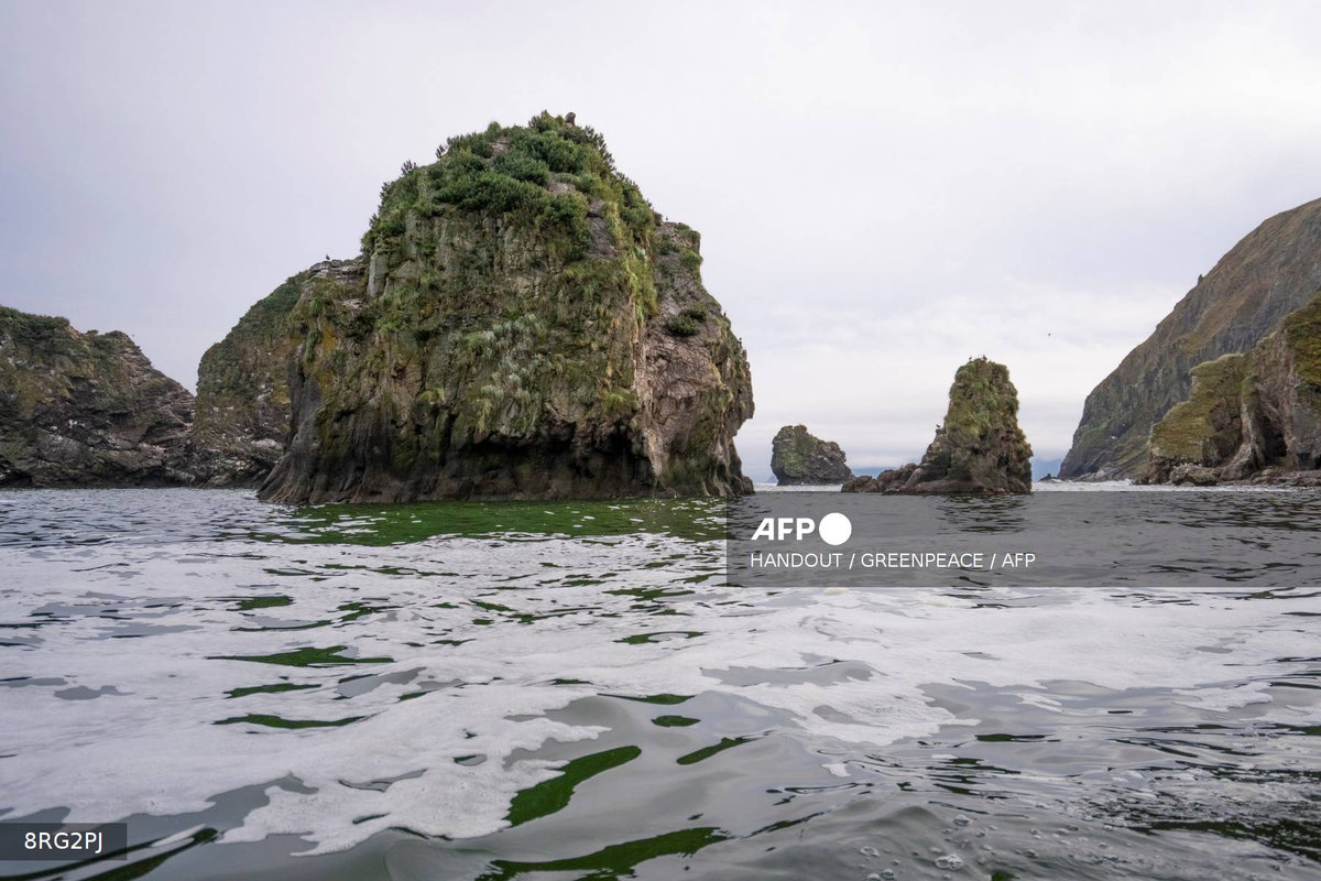This handout picture released by Greenpeace on October 5, 2020 shows the water area near the Khalaktyr beach on the Kamchatka peninsula. A Russian official said on October 5 that the sea off the remote Kamchatka peninsula may have been contaminated with toxic chemicals as Greenpeace warned of an ecological disaster for marine life. - Handout / GREENPEACE / AFP