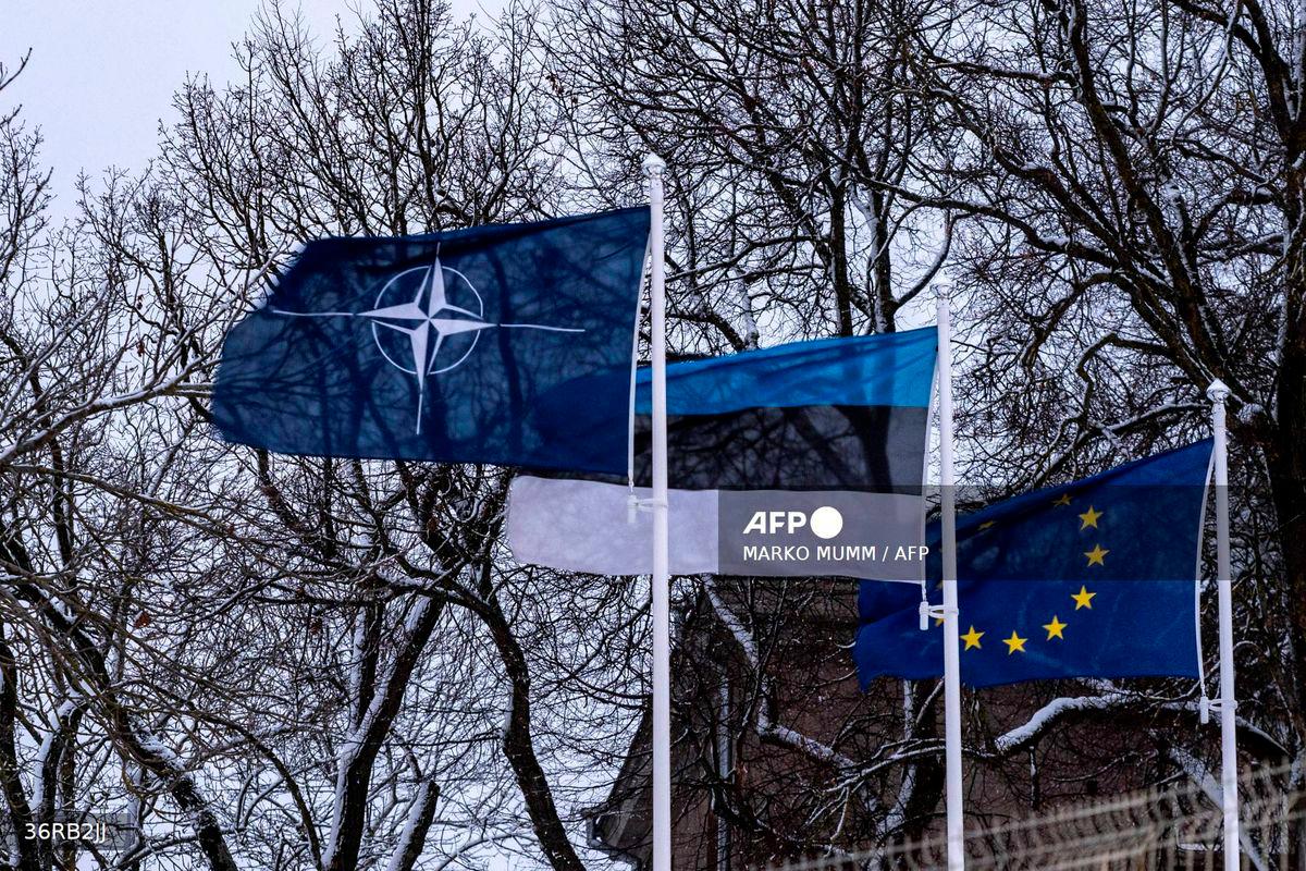 Image for visual purposes - (Photo by Marko Mumm / AFP)