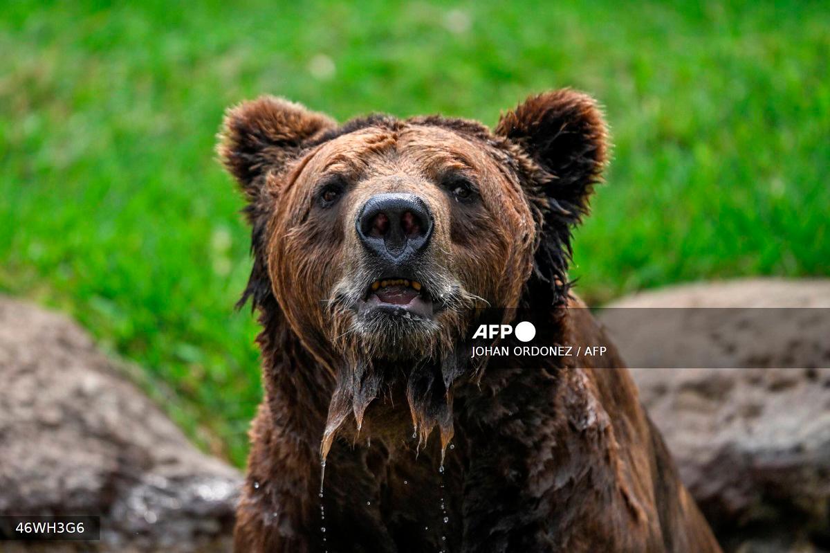 Pix for representational purpose only - JOHAN ORDONEZ / AFP