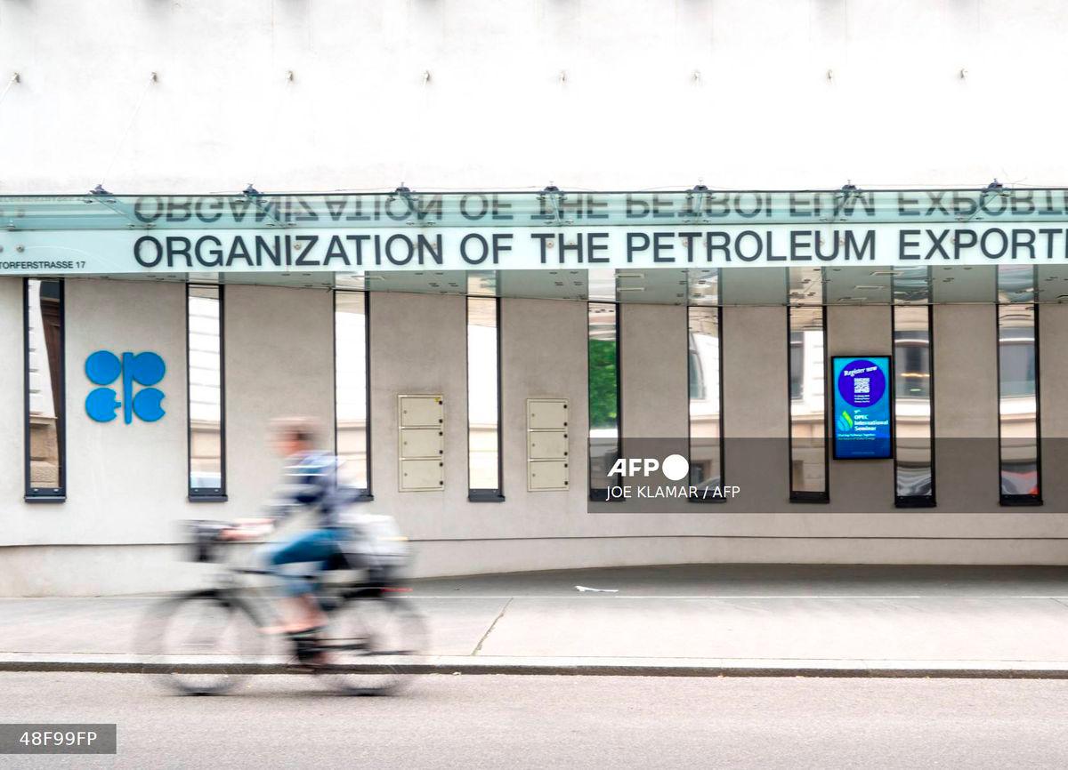 A cyclist rides past the building headquarters of OPEC (Organization of The Petroleum Exporting Countries) in Vienna, Austria on May 28, 2025, as Ministers of the OPEC+ oil alliance, led by Saudi Arabia and Russia, hold talks online. - AFP