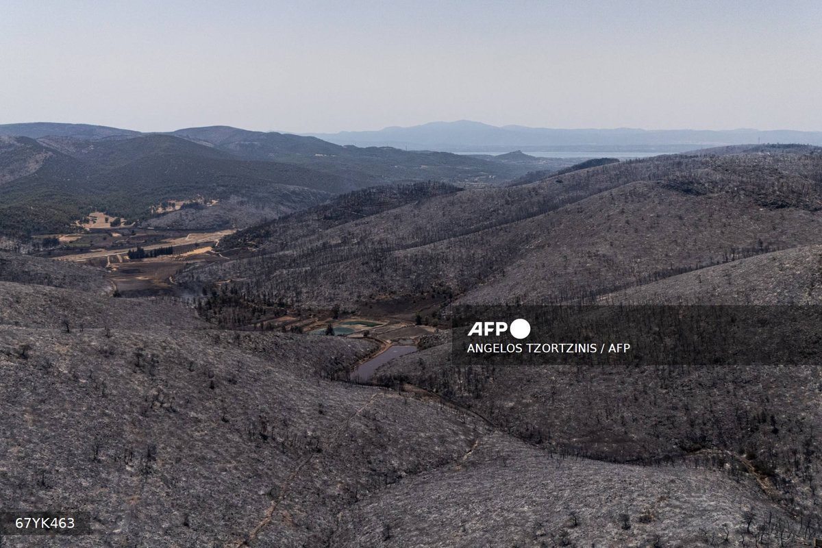 This photograph shows a burnt area following a wildfire near Psachna Village on Evia (Euboea) island, the second-largest Greek island, on July 27, 2025. - AFP