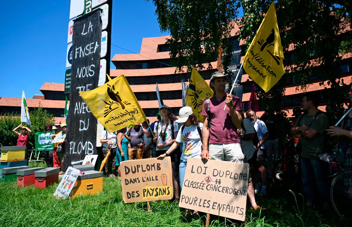 Farmers hold banners and flags of the agricultural union Confederation Paysanne during a protest against the so-called Duplomb agricultural bill, which aims to “remove constraints on the exercise” of their profession, particularly by easing access to pesticides” in Pau, south-western France, on June 28, 2025. (Photo by Gaizka IROZ / AFP)