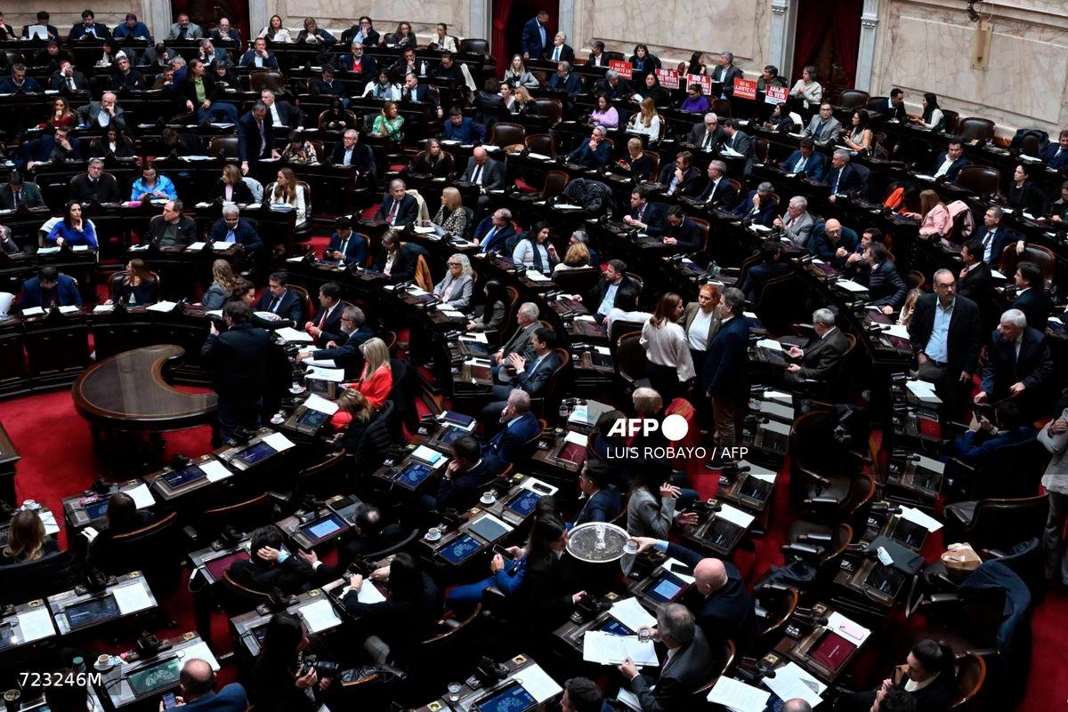 Deputies debate President Javier Milei's veto of bills to raise pensions and disability emergency during a session at the National Congress in Buenos Aires on August 20, 2025. - AFP