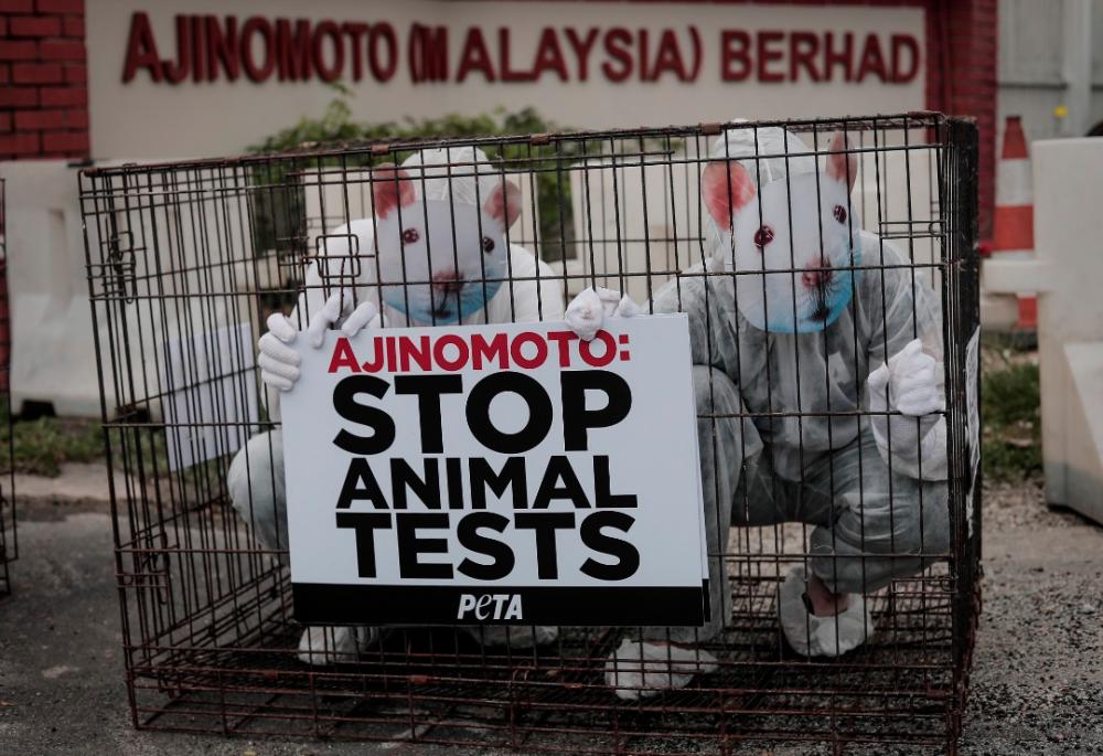 Protesters confined in a cage, during the protest in front of Ajinomoto (Malaysia) Berhad’s building, on Nov 28, 2019.