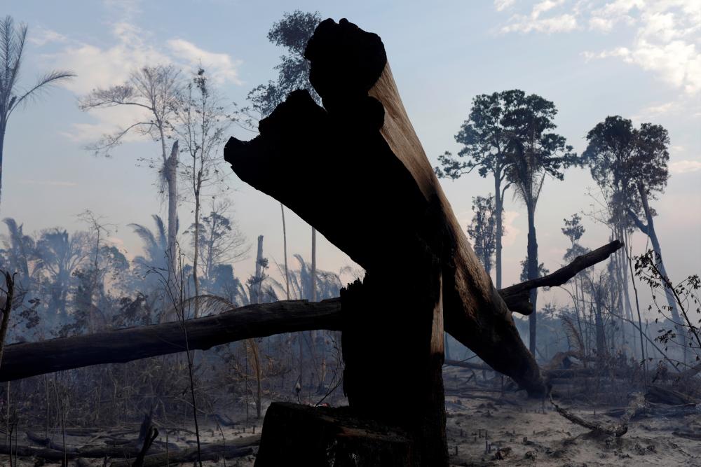 A burning tract of the Amazon forest as it is cleared by farmers, in Rio Pardo, Rondonia, Brazil September 16, 2019. — Reuters