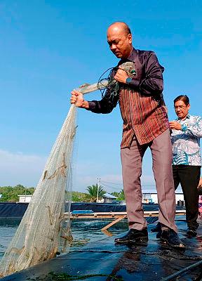 Datuk Fairul Nizam Roslan–fotoBernama