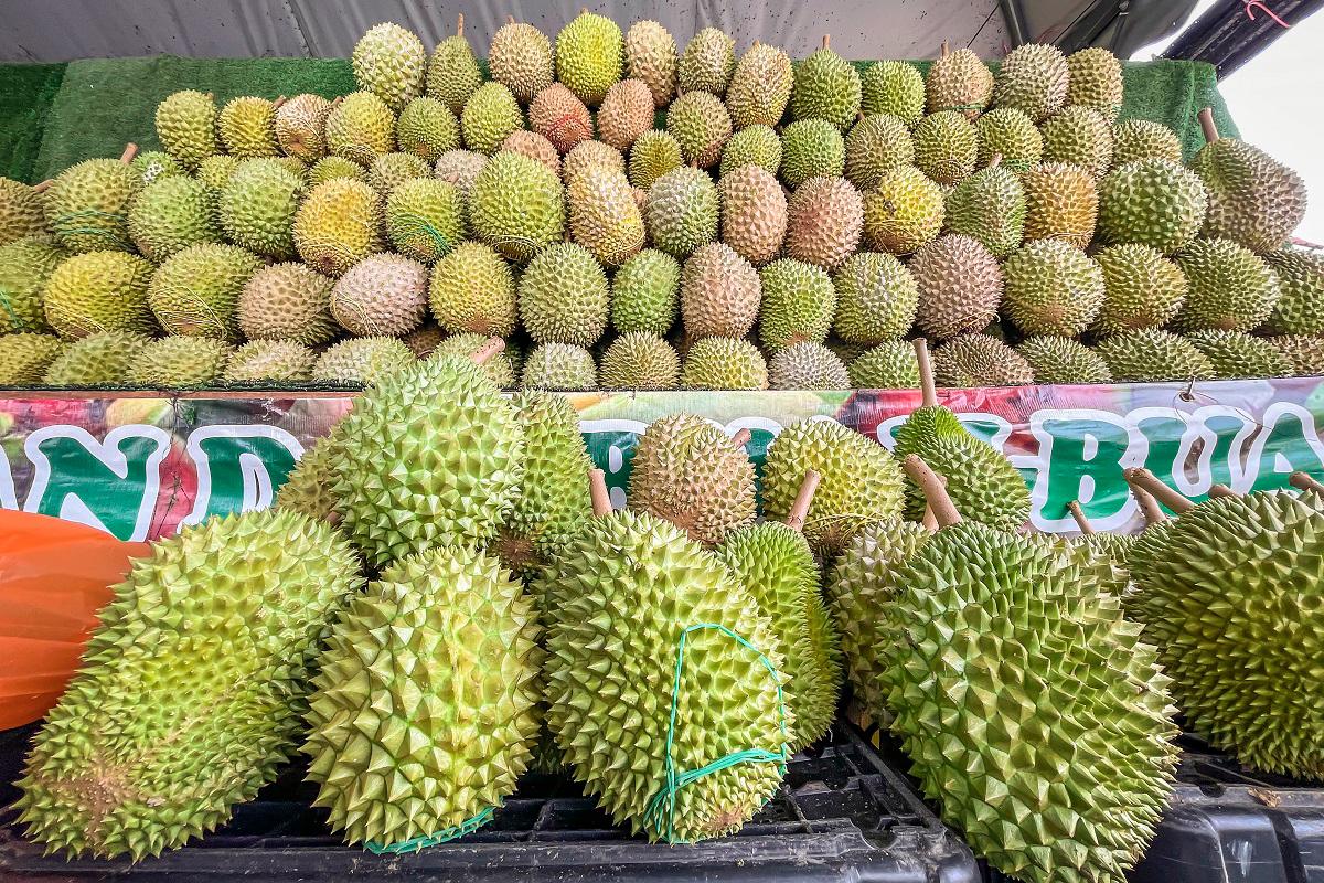 Mohamad Sabu has encouraged more hotels in Malaysia to embrace the country’s “king of fruits” by allowing guests to enjoy durian on-site in a controlled environment. - ADIB RAWI YAHYA THESUN