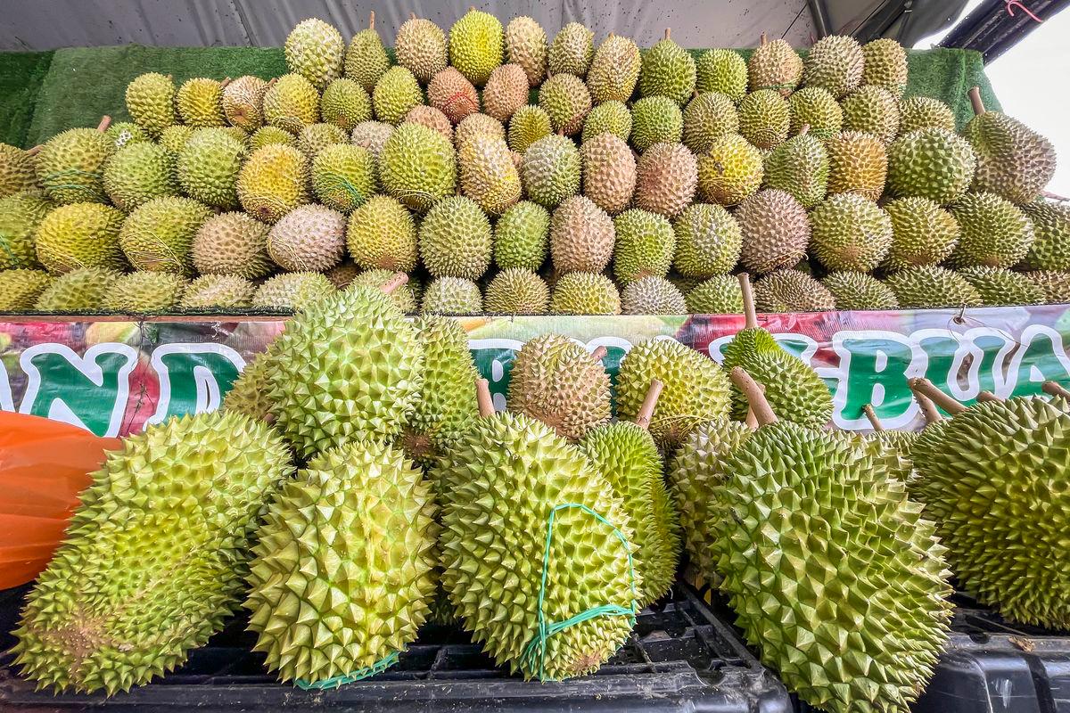 Durian - ADIB RAWI YAHYA/ THESUNFOTO