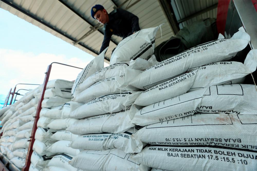 A Domestic Trade and Consumer Affairs Ministry officer examines subsidised paddy fertiliser believed to have been misappropriated at a factory in Sedaka, Yan on June 24, 2019. — BBX