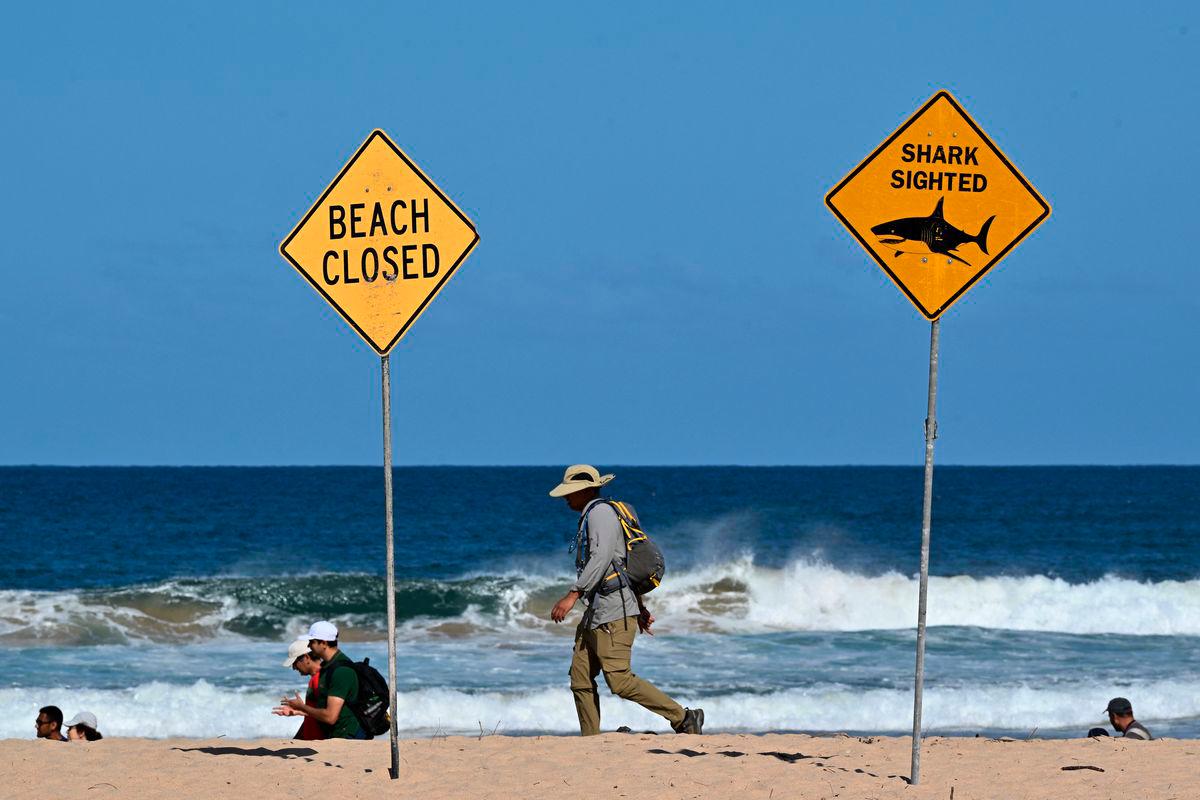 Residents walks along the shoreline as northern Sydney beaches are closed following a shark attack at Long Reef Beach on September 6, 2025. A suspected “large shark” mauled a surfer to death in a rare fatal attack off a Sydney beach on September 6, Australian police and rescuers said, leading to a string of beach closures.