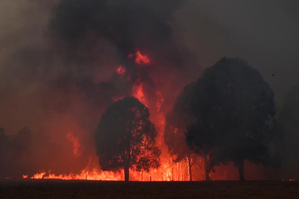 Smoke and flames rise from burning trees as bushfires hit the area around the town of Nowra in the Australian state of New South Wales on Dec 31. — AFP
