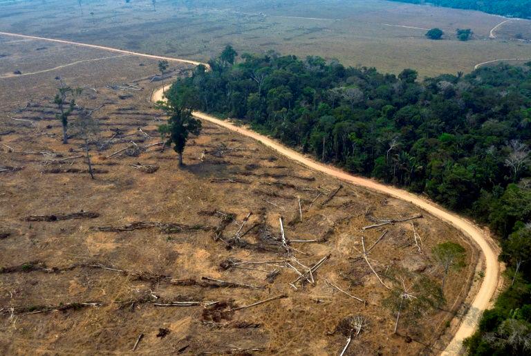 Burnt areas of the Amazon rainforest in Brazil’s Rondonia state in Aug 2019 — meat processing giant JBS has said it will work to ensure its cattle do not come from deforested regions after being accused of fueling destruction of the Amazon. — AFP