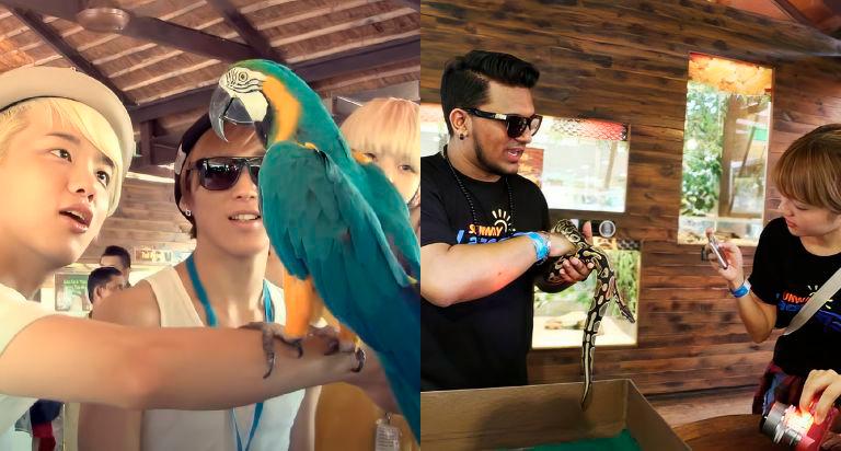The pet section at Sunway Lagoon. — PICS FROM MA ENTERTAINMENT & 123RF $!The pet section at Sunway Lagoon. — PICS FROM MA ENTERTAINMENT & 123RF