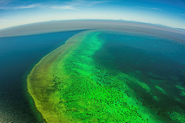 A handout photo taken by Matt Curnock shows sediment (top) approaching Central Great Barrier Reef from recent unprecedented rain and flooding around Cape Cleveland, off Townsville — AFP