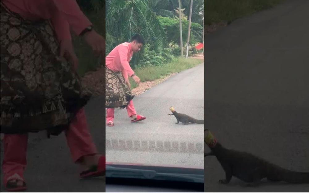 (Video) Man overcomes fear, rescues monitor lizard, becomes internet hero