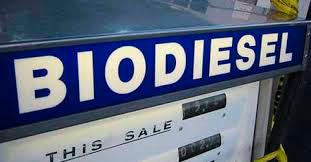 Biden’s biodiesel mandate most important catalyst for edible oils market, says expert