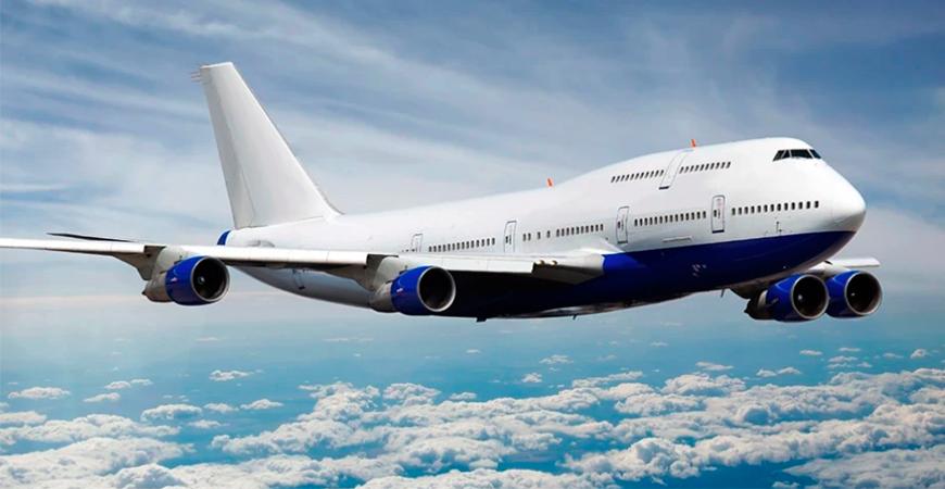 Boeing 747 Diverts Back To JFK After Horse Breaks Loose Onboard