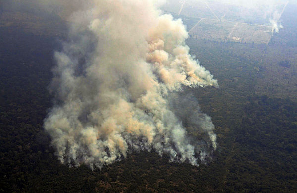 Aerial picture showing smoke from a 2-km-long stretch of fire billowing from the Amazon rainforest about 65 km from Porto Velho, in the state of Rondonia, Brazil, on Aug 23, 2019. — AFP