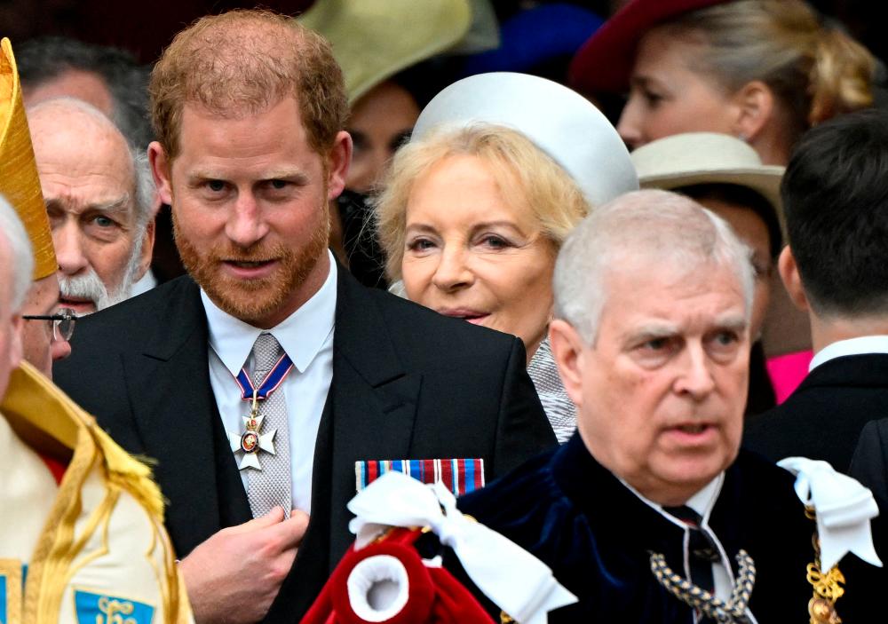 Princes Harry Andrew benched on third row at coronation