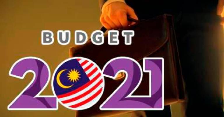 Budget 2021 passed at policy stage by majority voice vote (Updated)