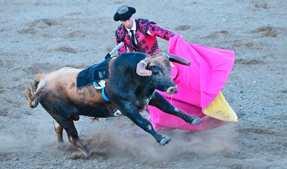 A Bandarilheiro distracts the bull to help the Cavaleiro during Portuguese-style bloodless bullfights on July 10, 2022 hosted by the Turlock Pentecost Association at the Stanislaus County Fairgrounds in Turlock, California. AFPpix