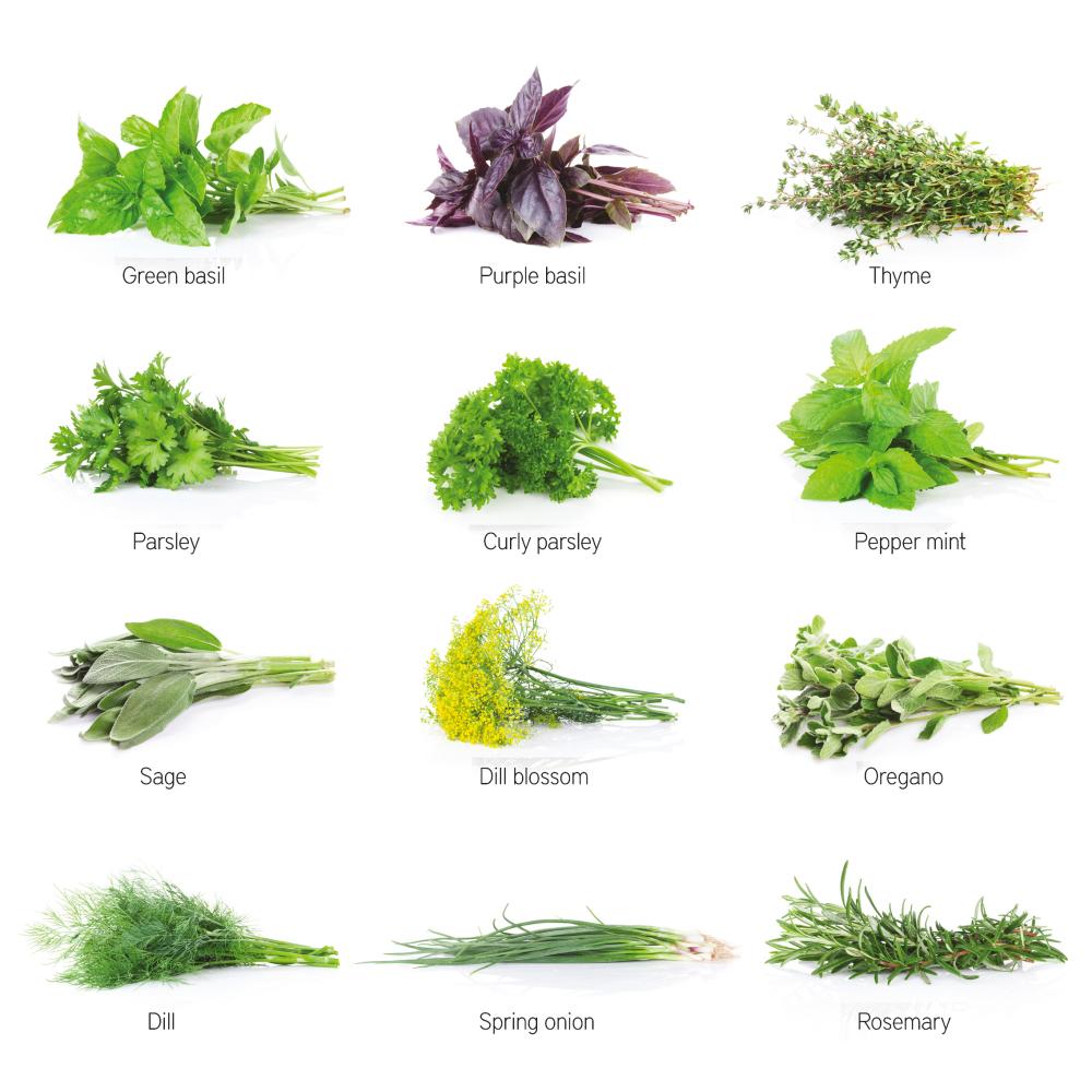 $!Top herbs to grow at home