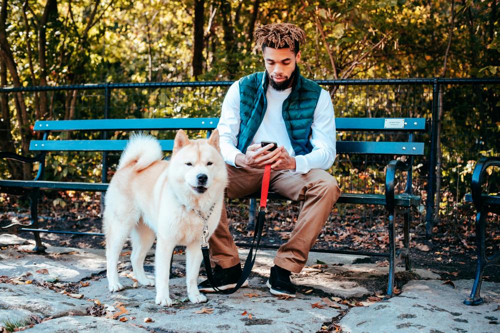 These days, apps can help you keep track of or learn more about your furry friend.– PEXELS