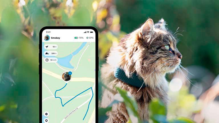 $!The app displays the location of your pet on a map in real-time. – TRACTIVE.COM