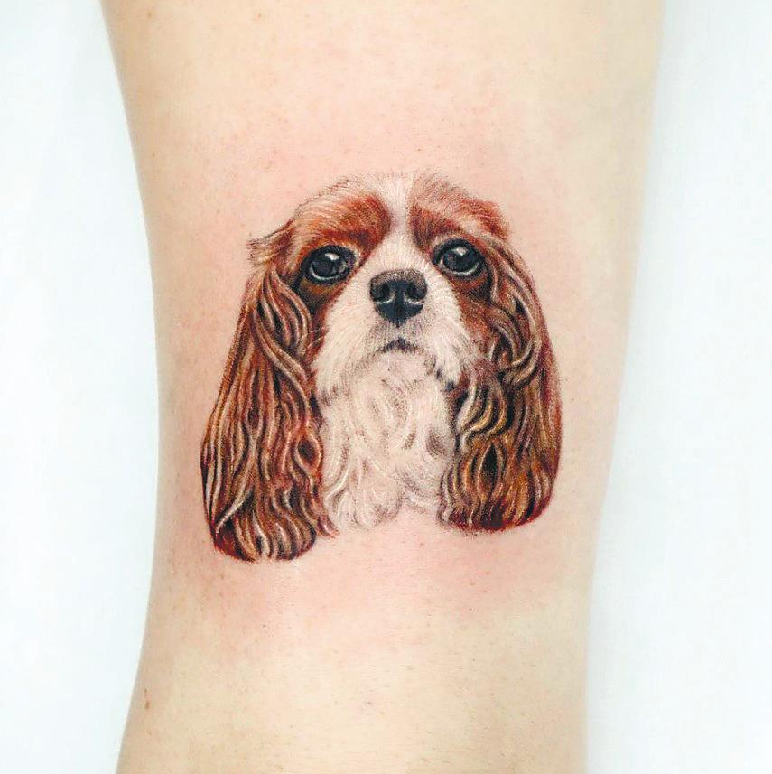$!Greens Tattoo Studio does intricate pet portraits to remember your pets by. - GREENS TATTOO STUDIO