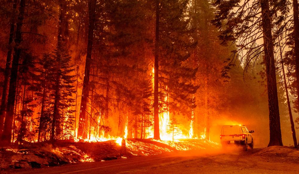 A Cal Fire truck drives near flames from a backfire during the Dixie fire in the Prattville community of unincorporated Plumas County on July 23, 2021. The Dixie fire, which started only a few miles from the origin of the deadly Camp fire, has churned through more 150,000 acres and continues to burn towards rural communities. Several villages were evacuated in the face of the advancing Dixie Fire, which is suspected to have been caused by a tree falling on power cables. -AFP