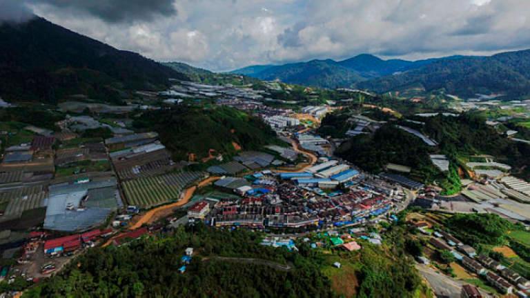 File photo: Cameron Highlands. Sunpix by Ashraf Shamsul