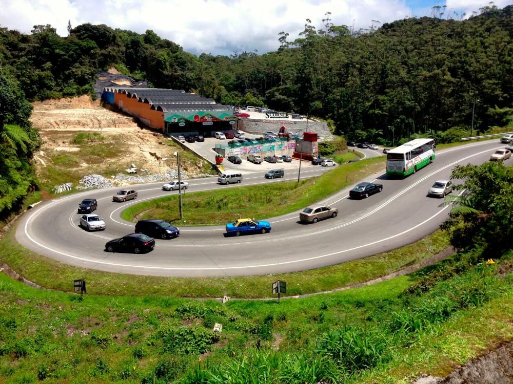 Picture of Cameron Highlands for representational purposes only