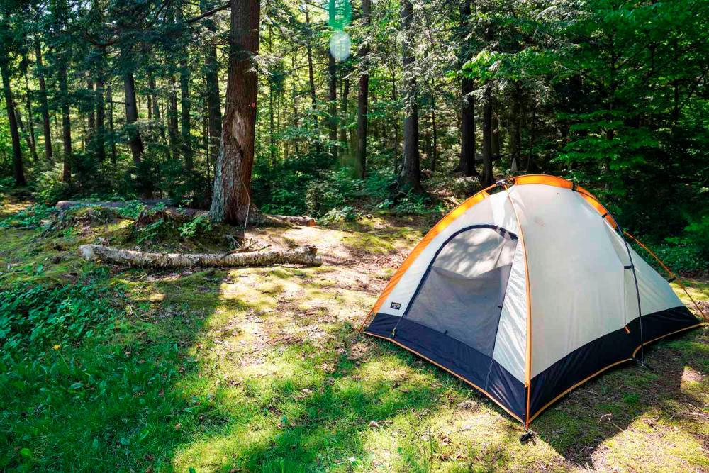 Camping symphony