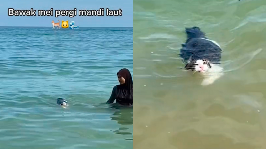 Malaysian woman is inspired to learn swimming thanks to her cat