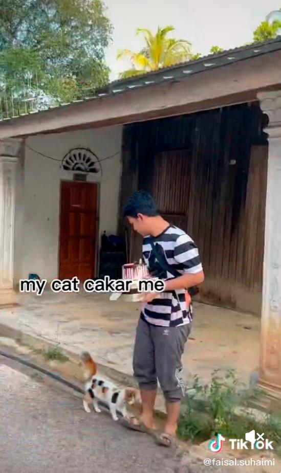 The cat came out of nowhere to scratch the boy’s leg while he held the cake. – TikTok/@faisal.suhaimi