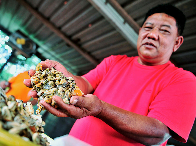 South Johor Fishermen’s Association chairman, Azli Mohamad Aziz shows clams which are feared to have been contaminated.