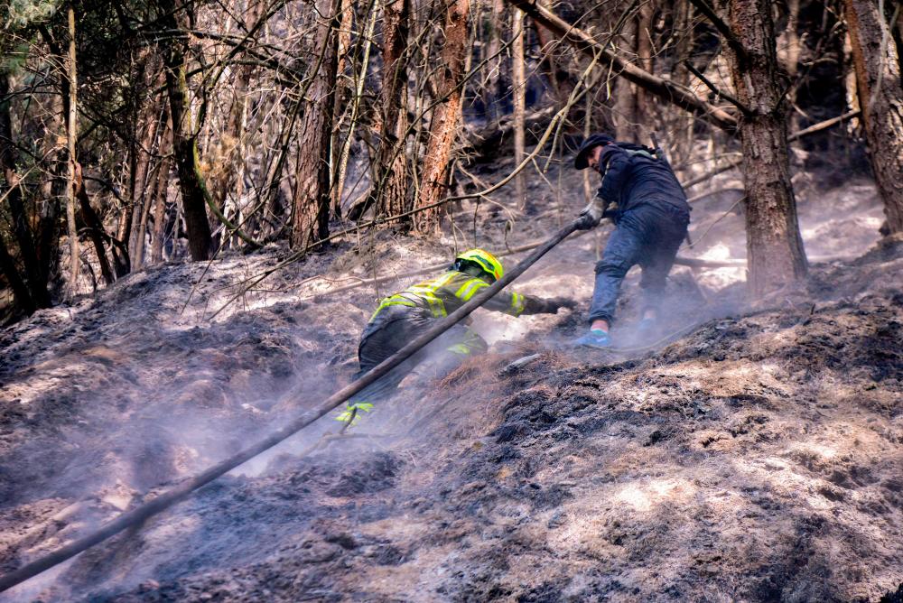 Bogota’s firefighters and citizens combat a forest fire at El Cable hill in Bogotá, on January 27, 2024/AFPPix